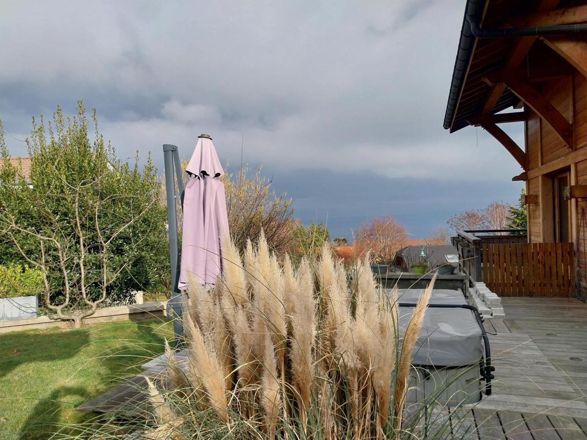 Le Chalet Des 3 Ours Neuvecelle Εξωτερικό φωτογραφία