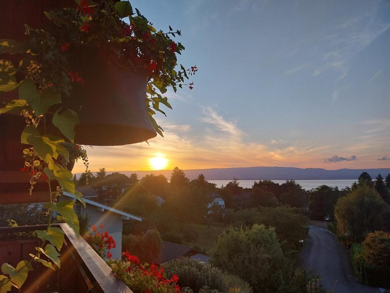 Le Chalet Des 3 Ours Neuvecelle Εξωτερικό φωτογραφία