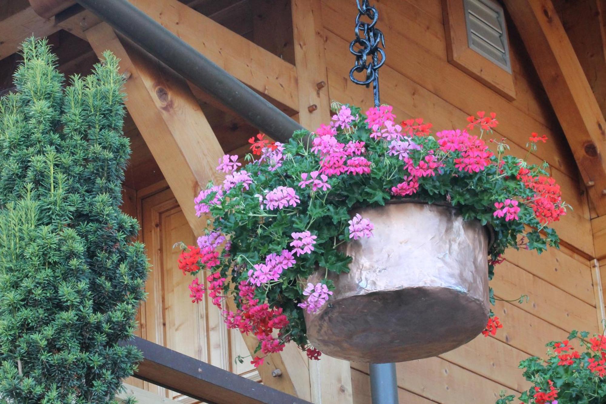 Le Chalet Des 3 Ours Neuvecelle Εξωτερικό φωτογραφία